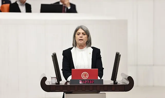 CHP Milletvekili Sibel Suiçmez: 