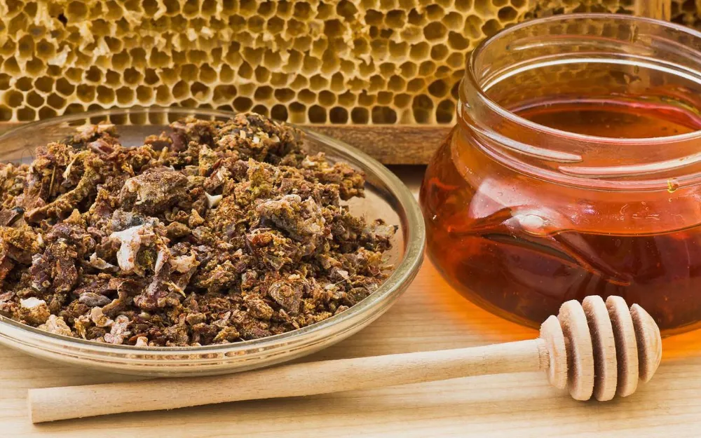 Propolis nedir? Propolis