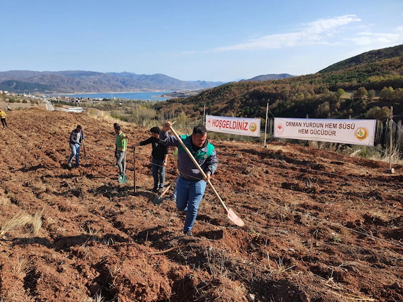 Almus ilçesinde Milli Ağaçlandırma Günü