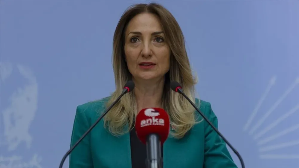 CHP Kadın Politikalarından Sorumlu Genel Başkan Yardımcısı Aylin Nazlıaka Kimdir?