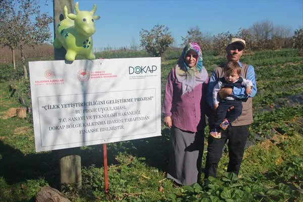 Çiftçi aile aldıkları hibeyle çilek üreterek ürün çeşitliliğini artırdı