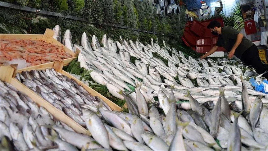 Balık Fiyatları Cep Yakıyor: Denizlerde Av Yasağı Sonrası Sezon Açılışı