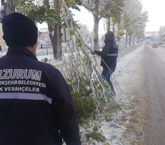 Erzurum Büyükşehir Belediyesi, Kar Yağışı Sonrasında Hızla Harekete Geçti