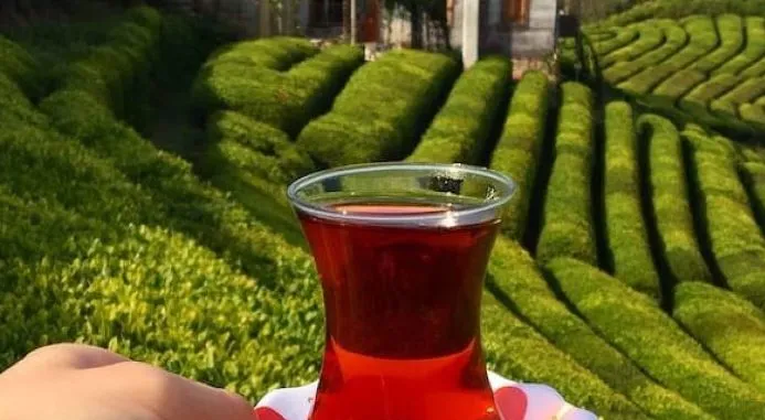 Çay Tiryakilerini Üzecek Haber! 