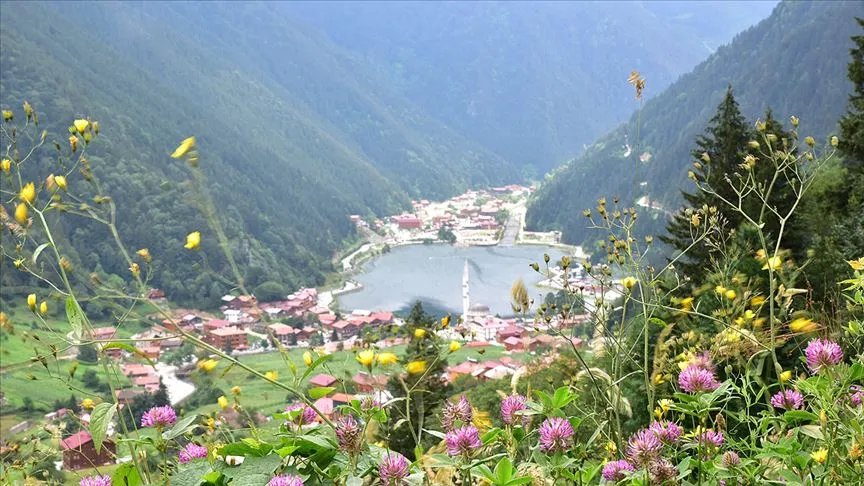Trabzon, Doğu Karadeniz Bölgesi
