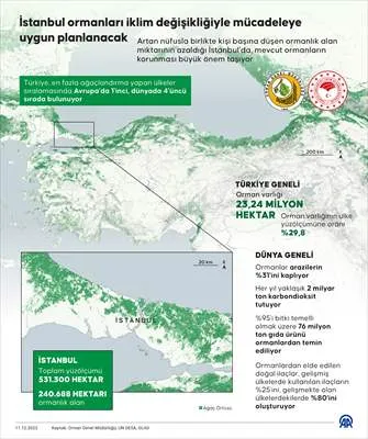 İstanbul ormanları iklim değişikliğiyle mücadeleye uygun planlanacak