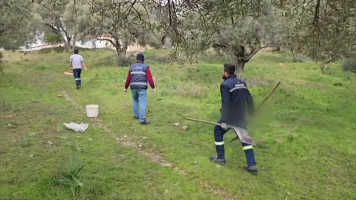 Tilki ve köpeklerin zehirlendiği iddiası inceleniyor