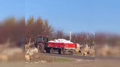  Köpeği traktöre bağlayarak koşturan şüpheliye para cezası