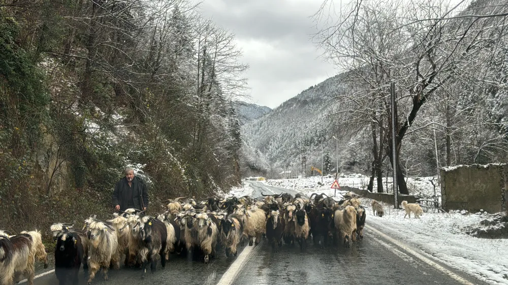 Doğu Karadeniz