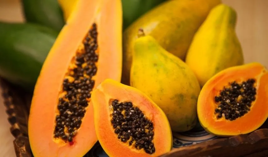 Papaya meyvesi nasıl olgunlaştırılır? Papaya meyvesi kaç günde olgunlaşır?