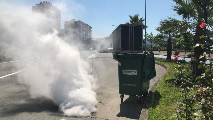 Rize Belediyesi, Sivrisinek Üremesine Karşı Mücadelede Etkin Adımlar Atıyor