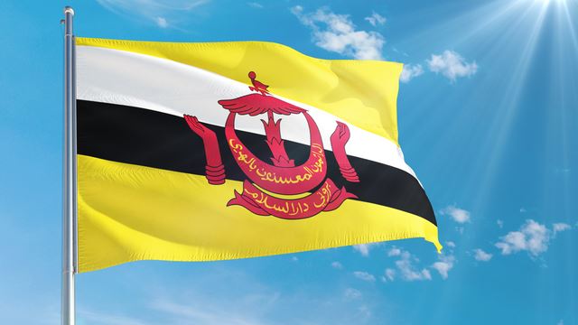 Brunei başkenti, bayrağı, nüfusu, para birimi, şehirleri ve saat farkı nedir?