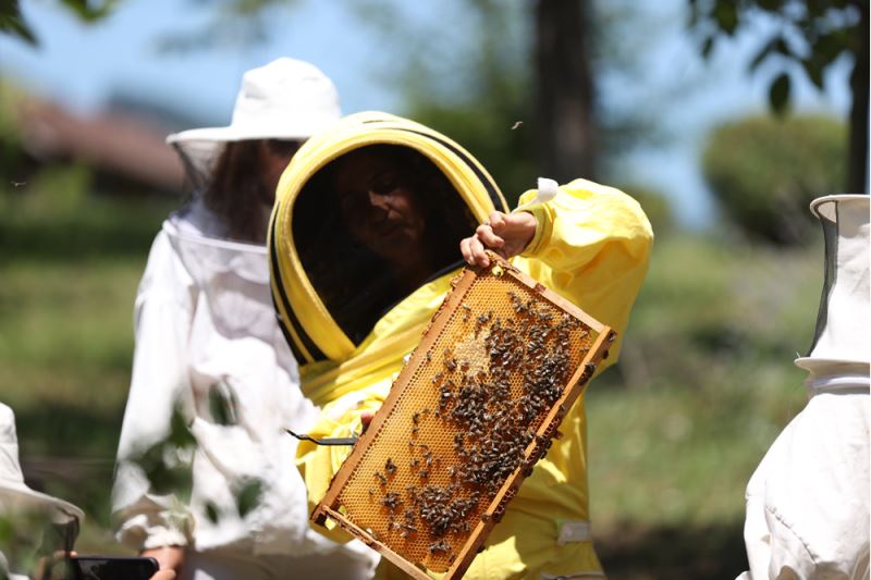 Arı yetiştiricilerine iklim değişikliğine karşı alternatif ürünlere yönelme önerisi