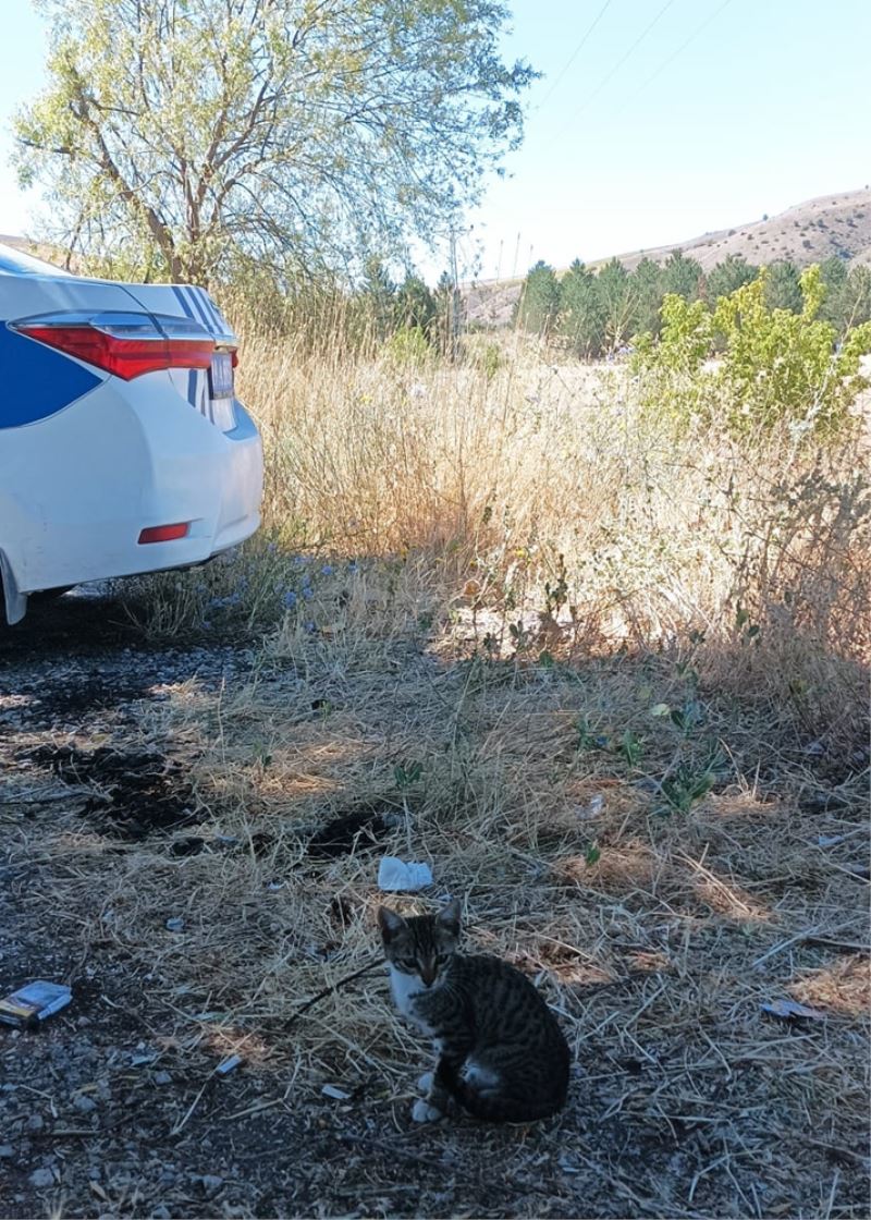 Sıkıştığı tırda yaklaşık 170 kilometre seyahat eden kediyi polis kurtardı