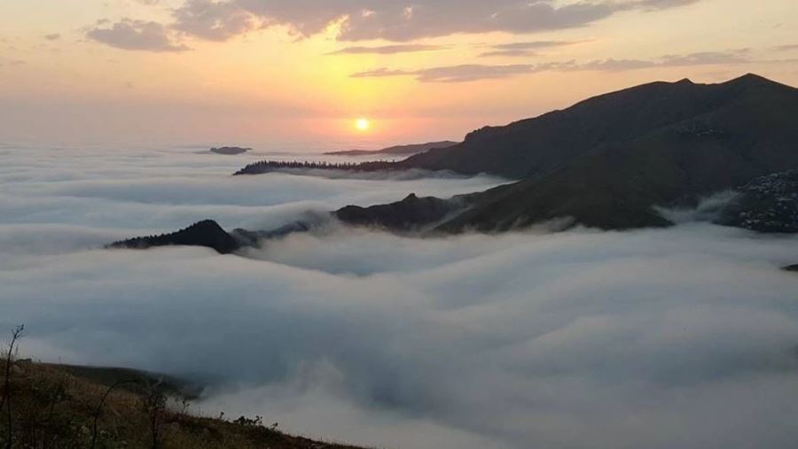 Borçka’nın 2450 rakımlı Adagül Yaylası, bulut denizi manzarasıyla mest ediyor