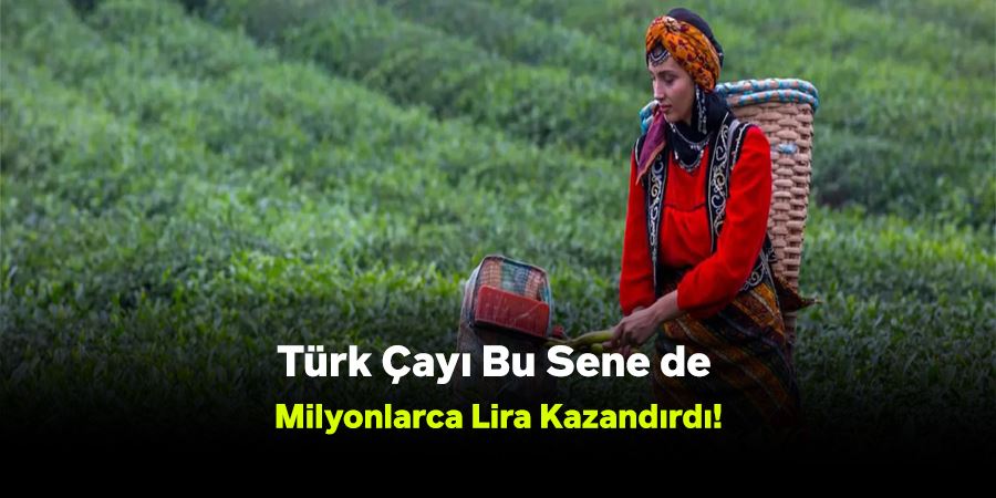 Türk Çayı Bu Sene de Milyonlarca Lira Kazandırdı!