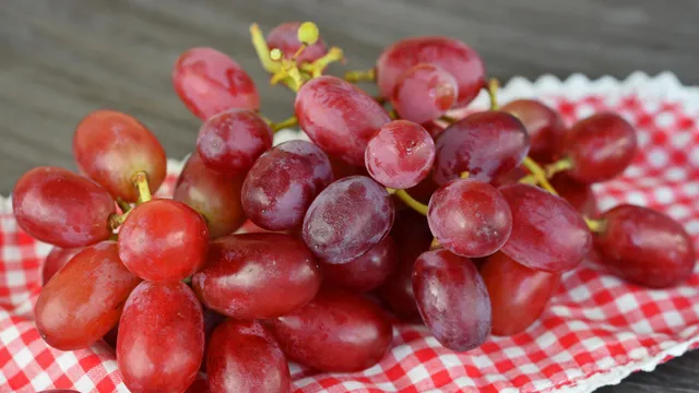 Ruby roman üzümü fidanı nasıl yetiştirilir?