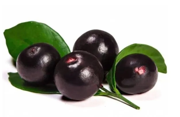 Acai Berry Çayı Faydaları Nelerdir?