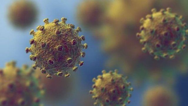 Eris virüsü belirtileri nelerdir?