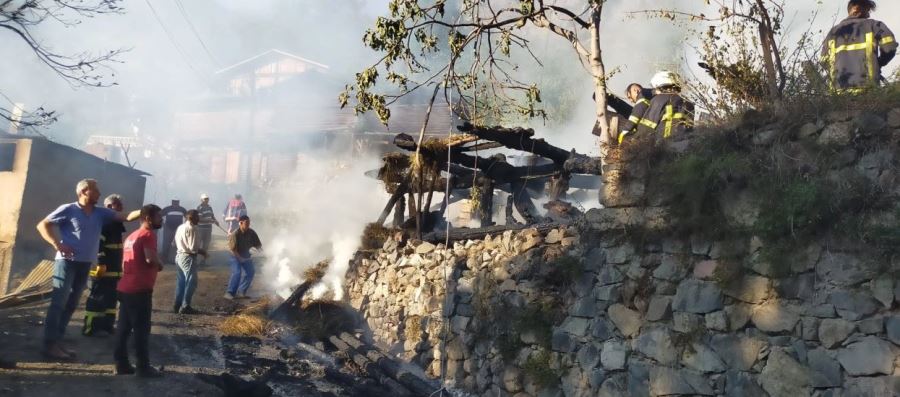 Artvin’de Korkutan Yangın!