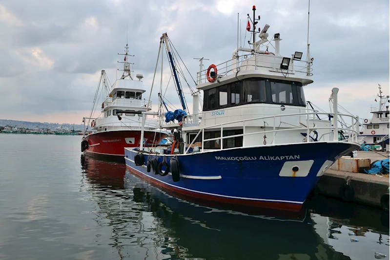 Karadenizli balıkçılar yeni sezona mezgit bereketiyle başladı 