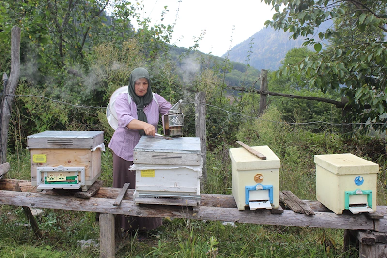 Artvinli kadın girişimci, ürettiği ana arı ve balı ülkenin dört bir yanına satıyor