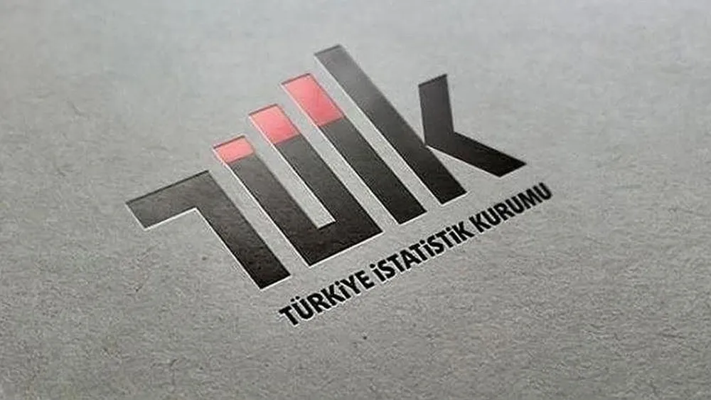 Türkiye İstatistik Kurumu İnternet erişimine sahip girişimlerin oranını açıkladı