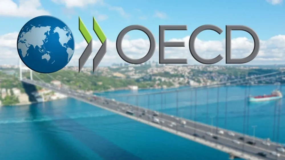 OECD, Türkiye ekonomisi tahminini yükseltti