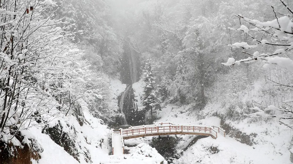 Rize dondu: Gece sıcaklık eksi 22,5 dereceyi gördü