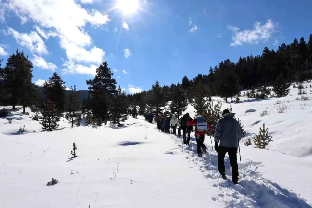 Doğa Severler ve Erzurum Yürüyüş Grubu Sarı Çam Ormanlarına 50 Santimetre Karda Yürüdü
