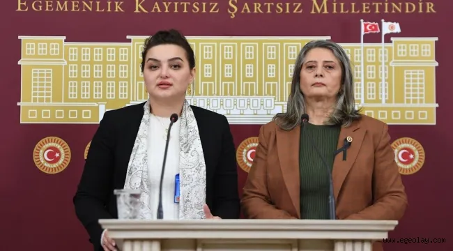 CHP Milletvekili Sibel Suçimez, SMA hastalığına dikkat çekti