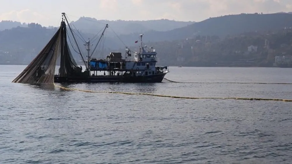 Karadenizde hamsi avı 2 gün için durduruldu