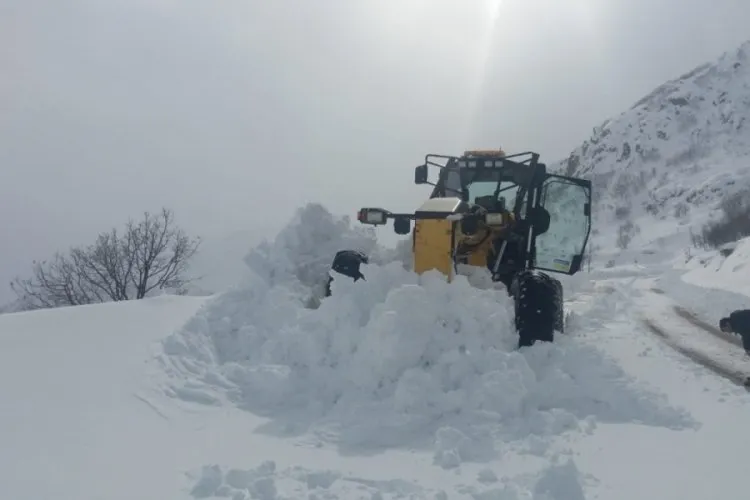 Doğu Karadeniz