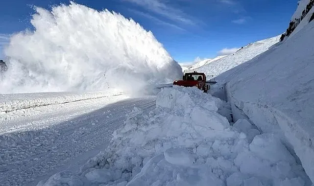 Ardahan-Artvin karayoluna çığ düştü