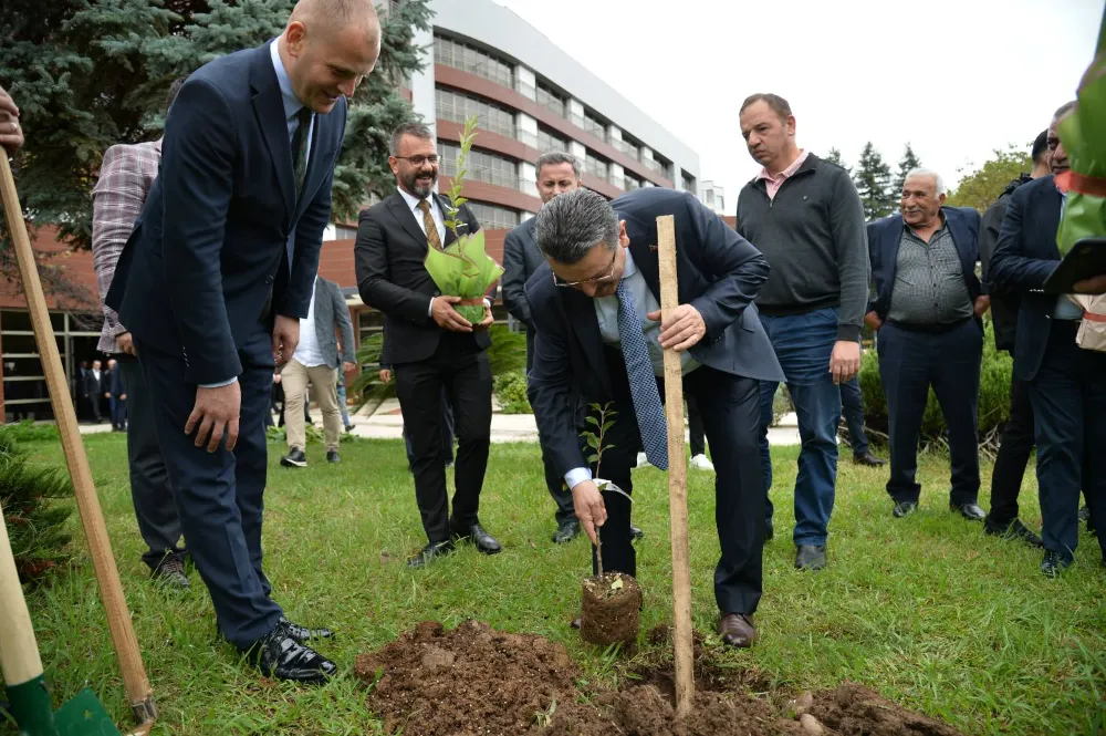 Yomra Elması, Trabzon’un Tarımsal Değeri Olarak Geleceğe Taşınıyor