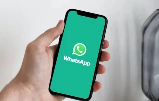 WhatsApp Sesli Sohbet Özelliği Kapatma Nasıl Yapılır? 2024