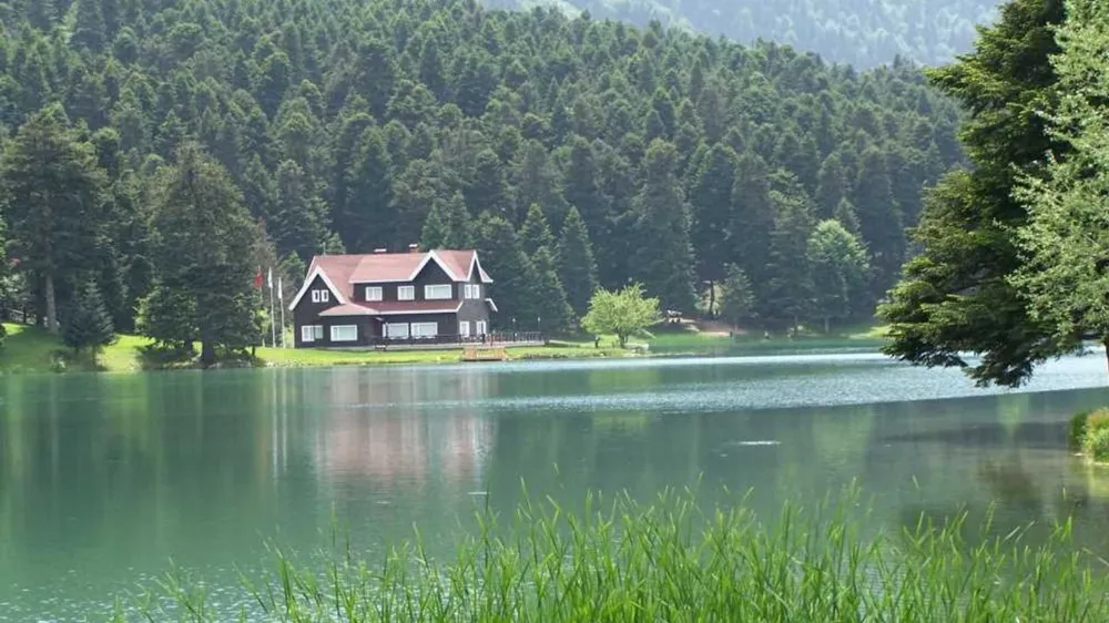 Bolu’nun Doğa Harikaları: Görmeden Dönmemeniz Gereken 5 Tabiat Parkı