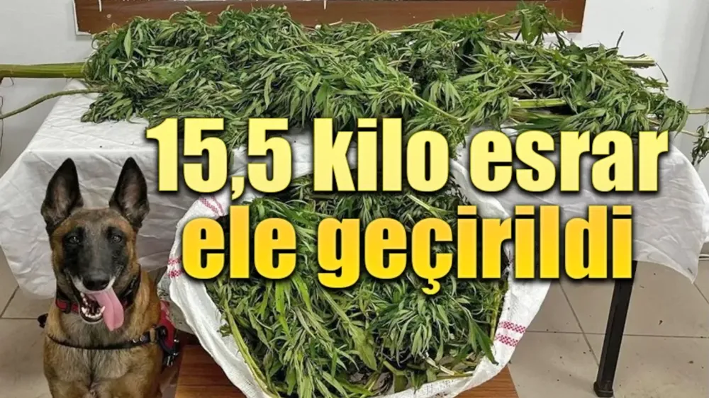 15.5Kg esrarla yakalanan şahıs tutuklandı