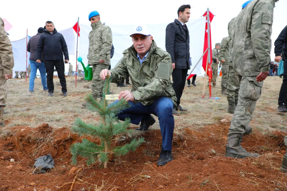 Geleceğe Nefes Olacak Fidanlar Bayburt’ta Toprakla Buluştu