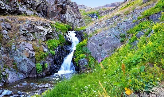 Karadeniz’in Gizli Cenneti: Kalkandere’nin Yaylaları ve Zengin Kültürü