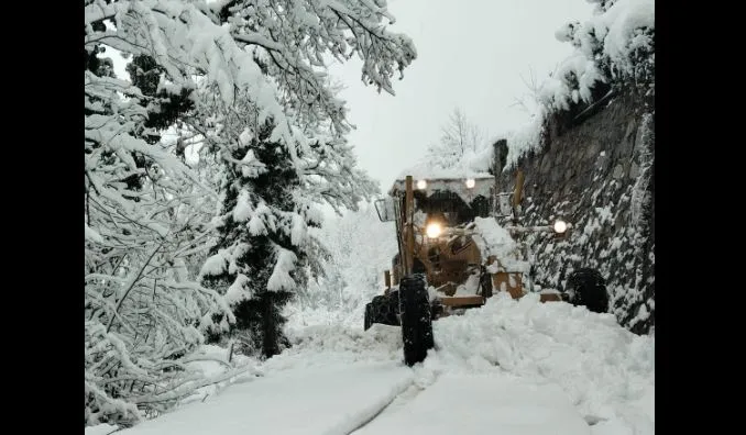 Artvin Belediyesi, Yoğun Kar Yağışıyla Mücadeleye Devam Ediyor