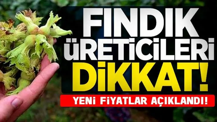 Aralık ayı fındık fiyatları açıklandı!