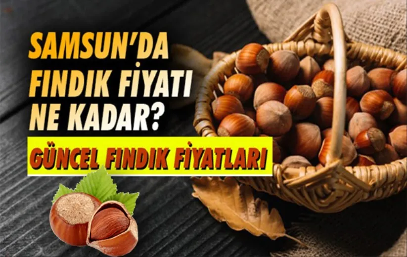 Fındık fiyatlarında son durum ne? İşte 12 Aralık fındık fiyatları