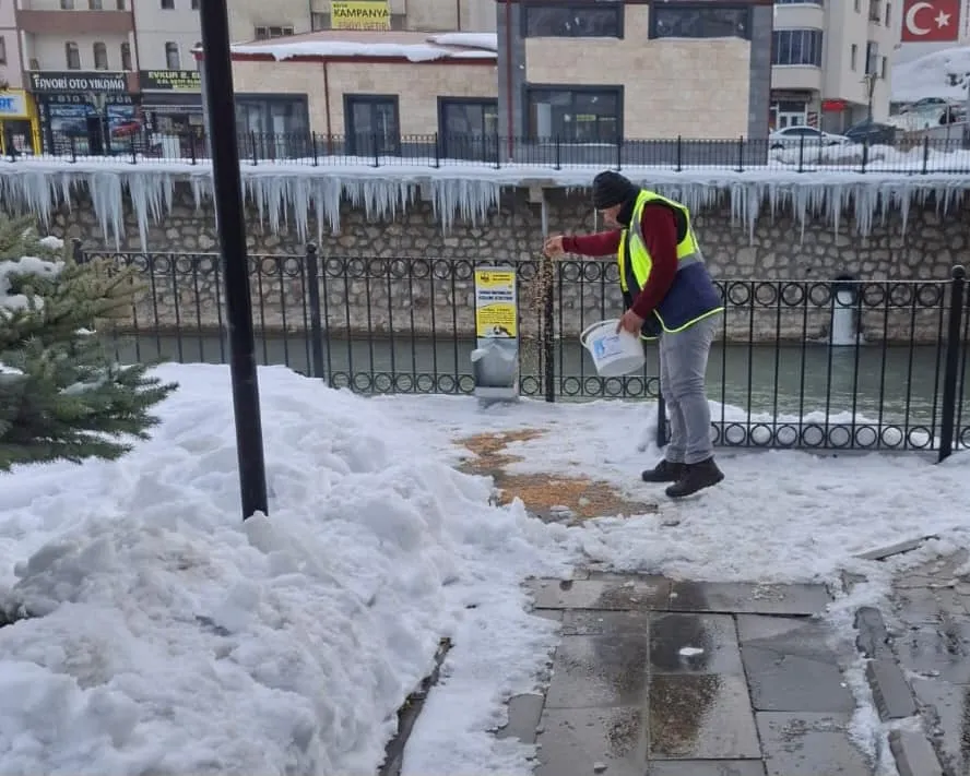 Bayburt Belediyesi, Sokak Hayvanları İçin Mama İstasyonları Kuruyor