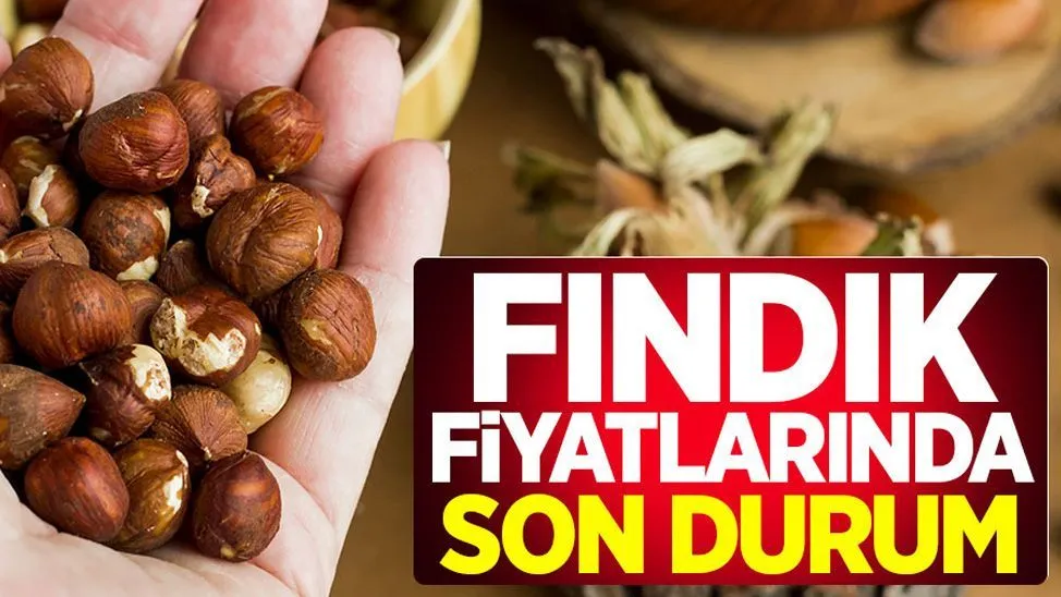 Fındık Piyasasında Ani Fiyat Artışları Üreticiler ve Tüccarları Endişelendiriyor