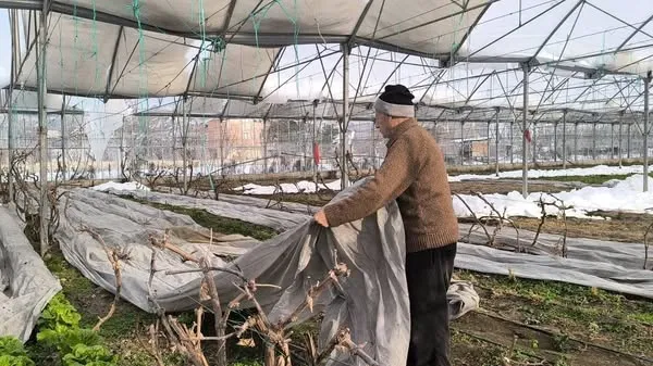 Erzurum Uzundere’de Kar Yağışı Seralara Zarar Verdi