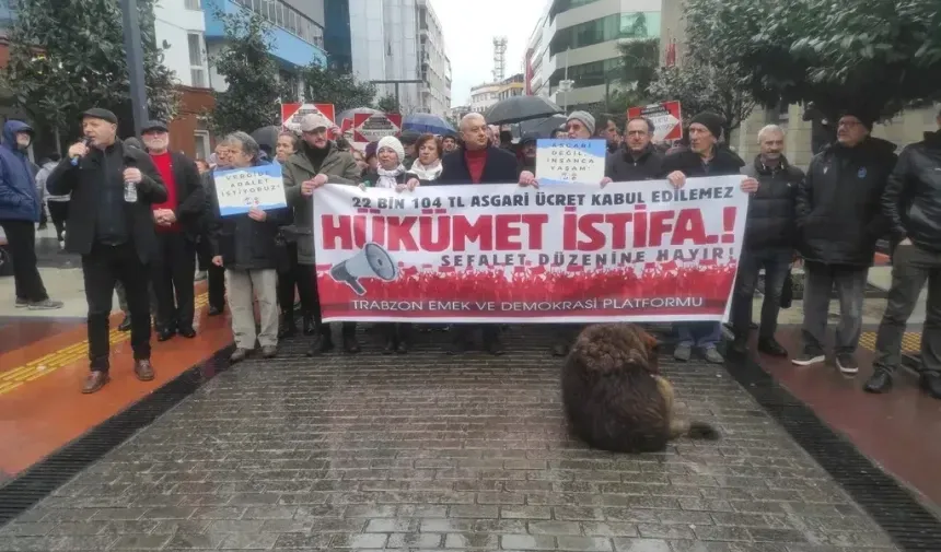 Trabzon Emek ve Demokrasi Platformu