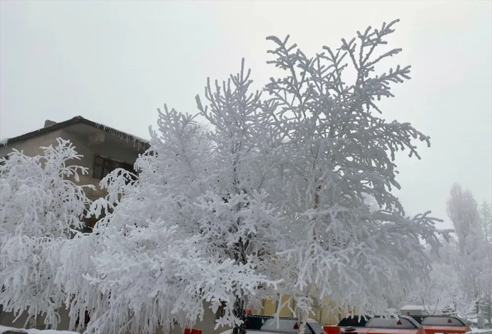 Erzurum ve Ardahan