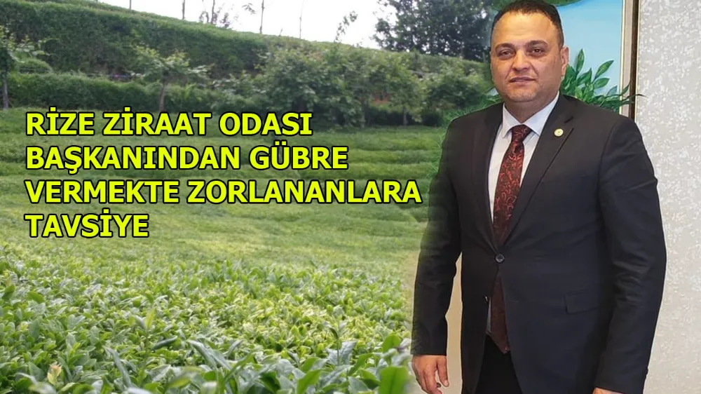 RİZE ZİRAAT ODASI BAŞKANINDAN GÜBRE VERMEKTE ZORLANANLARA TAVSİYE