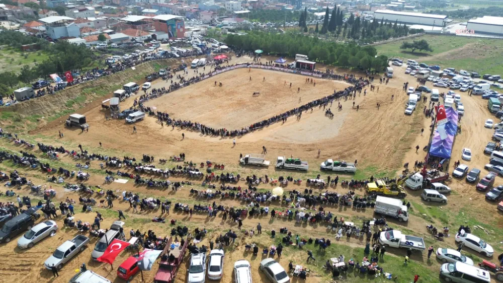 KEMALPAŞA’DA BOĞA GÜREŞİ FESTİVALİ